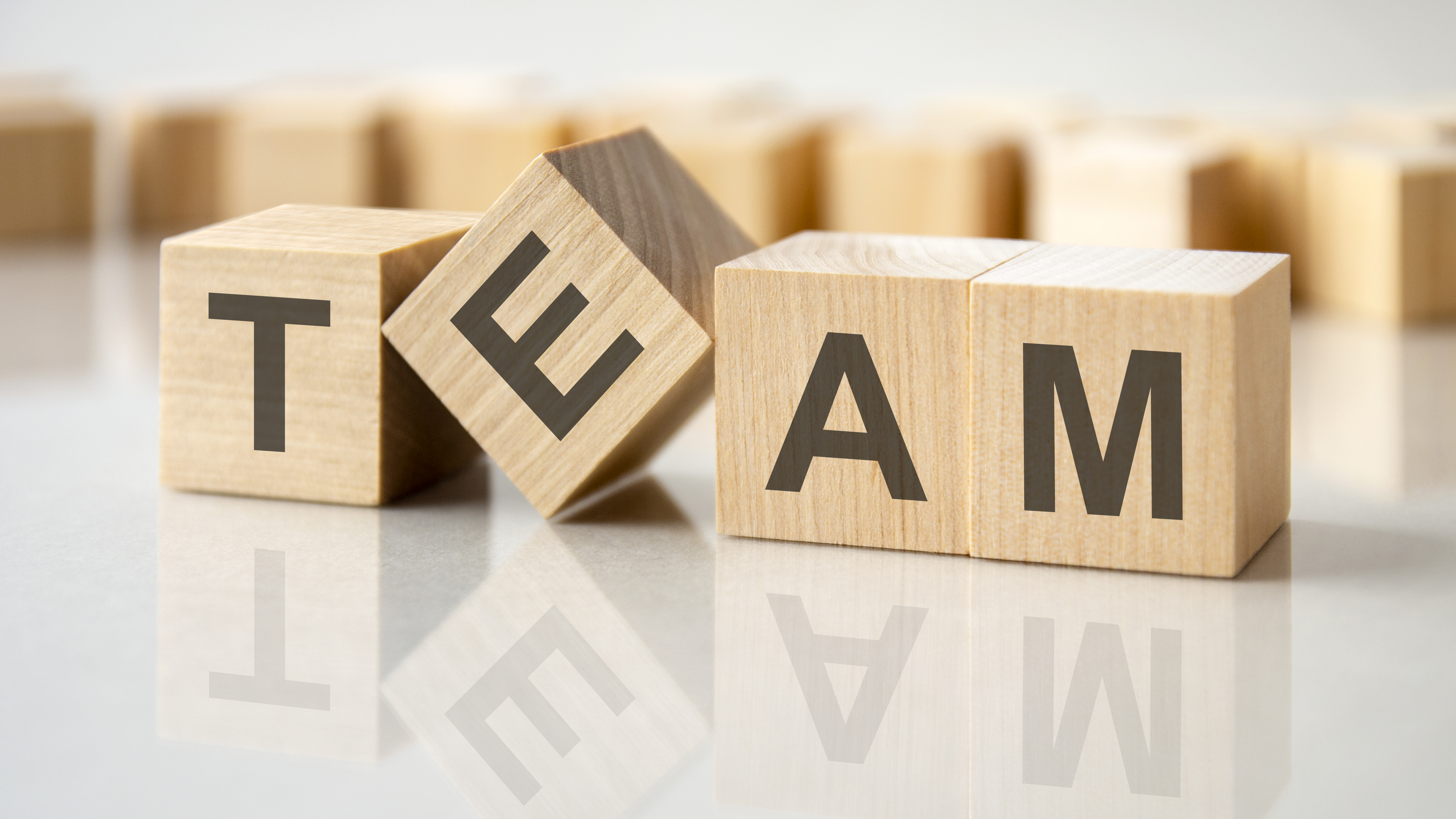 Four wooden square blocks each containing individual letters which spell the word team